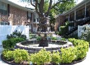 Click here to enlarge photo